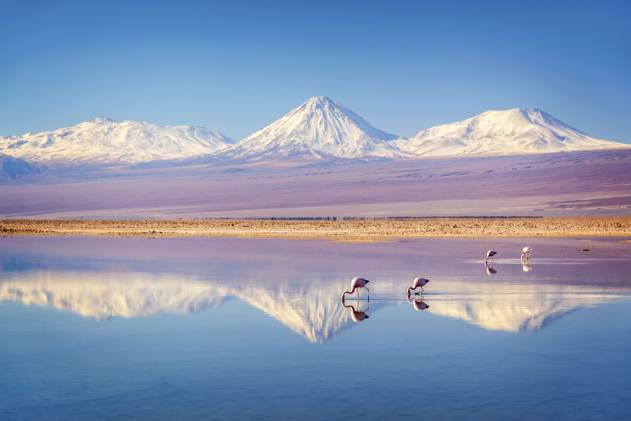 San Pedro de Atacama, no Chile, é eleito como destino tendência para ...