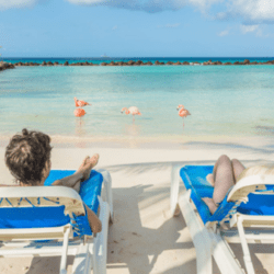 0ecd7d1d-ce18-4d76-a463-6603127102a6