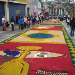 Corpus-Christi-2010-060