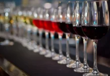 Conheça vinícolas pela América do Sul Conheça vinícolas pela América do Sul