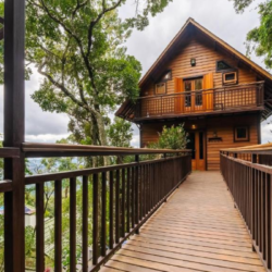 Design_sem_nome (30)