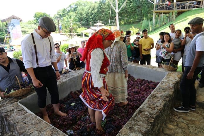 IMG-0339