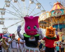 1a4ee8f1c91d5b3a9730223d50bf55c3_medium