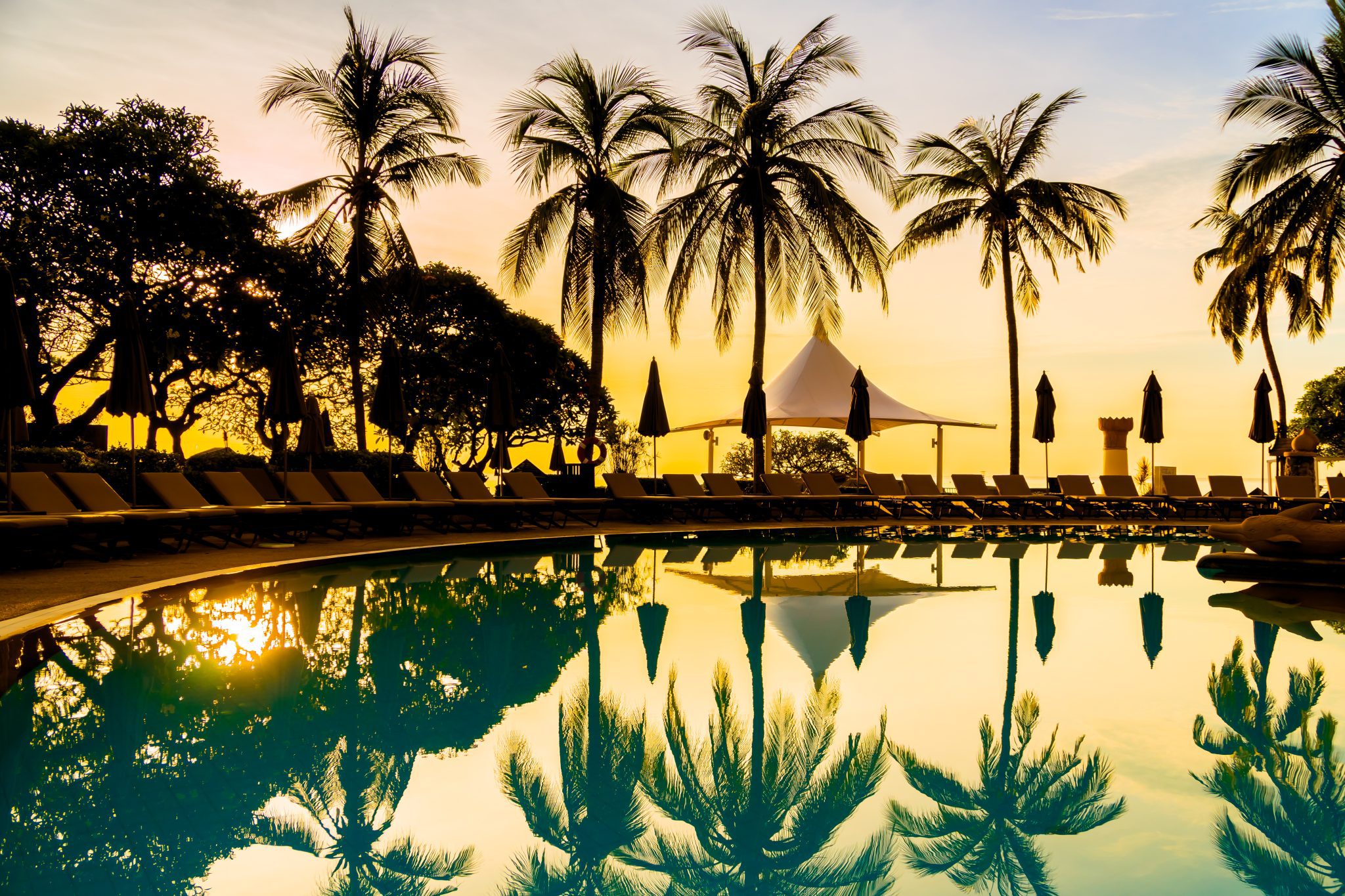 Silhouette coconut palm tree around swimming pool