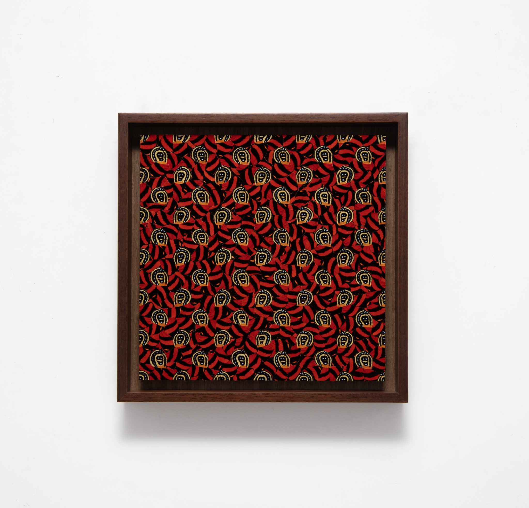 Gabriel-de-la-Mora---1027-Ca.Cy-2025-1027-fragmentos-de-asas-de-borboleta-Callicore-cynosura-sobre-papel-museologico.-Credito-imagem--Estudio-Gabriel-de-la-Mora