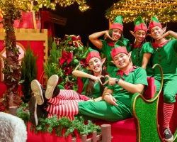 d69ebe017879bbcbee21515ac8f68164_medium