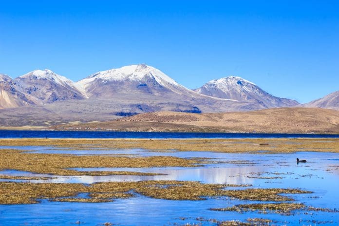 80f4138c-lago-chungara