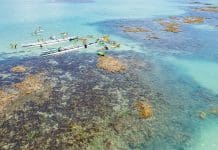 Maceió fora do convencional: Ipioca oferece sossego e mar em diversos tons de verde-esmeralda