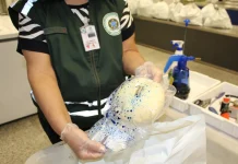Trazendo alimentos na mala? Nem todos são permitidos