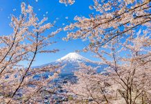 Seis destinos para descobrir um Japão além da rota clássica