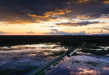 Road Trip: viaje de carro pelo Brasil Estrada Pantanal: criada para promover o turismo sustentável, a estrada mantém o ecossistema preservado. Foto: Divulgação