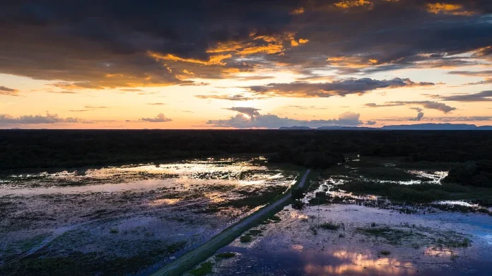 Estrada Pantanal: criada para promover o turismo sustentável, a estrada mantém o ecossistema preservado. Foto: Divulgação